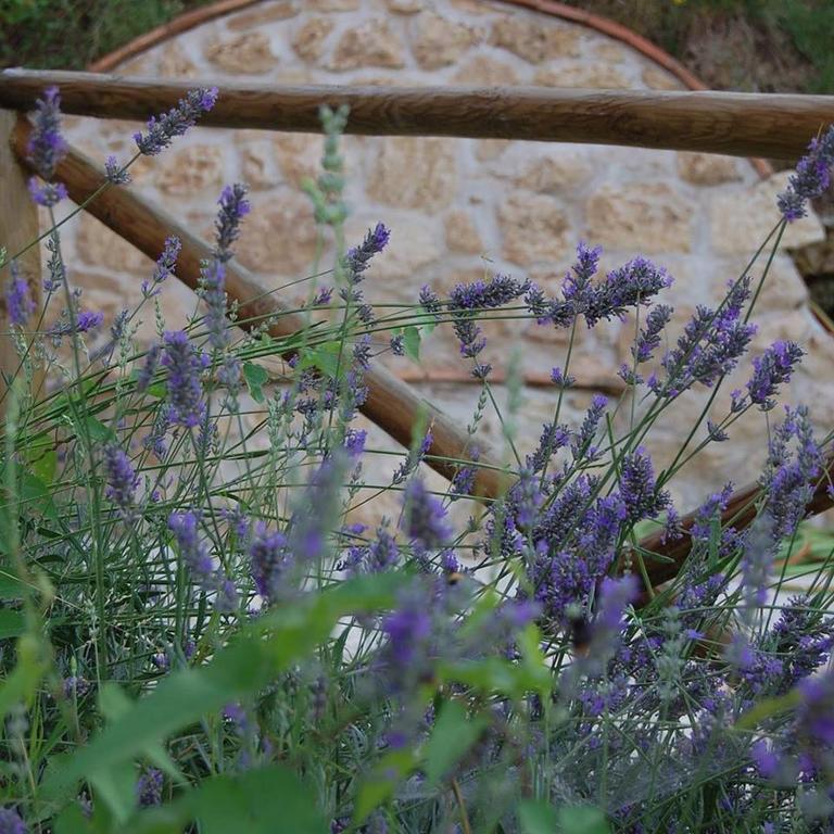 B&B L'Usignolo Ascoli Piceno Esterno foto