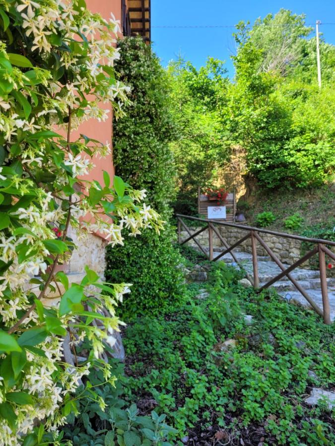 B&B L'Usignolo Ascoli Piceno Esterno foto